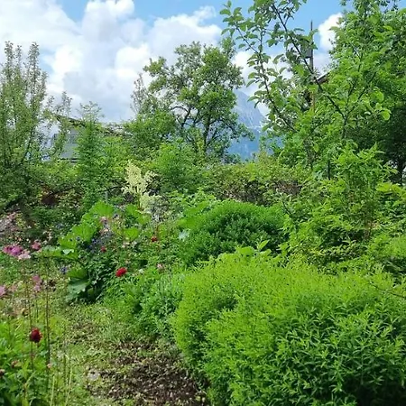 Apartements Breitenwang * Reutte