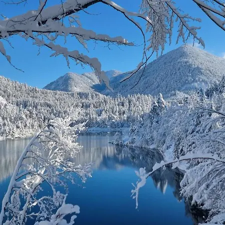 Apartements Breitenwang 로이테