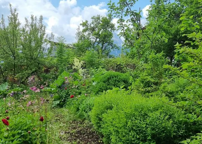 Apartements Breitenwang * Reutte