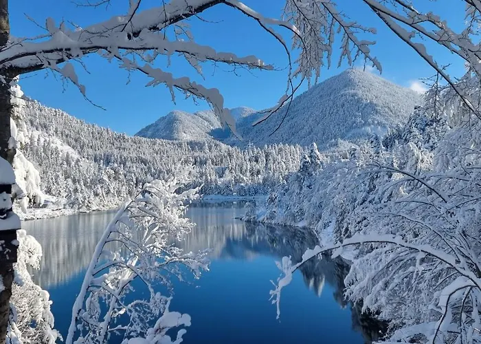 Apartements Breitenwang Reutte